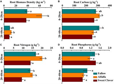 Long-Term Growth of Alfalfa Increased Soil Organic Matter Accumulation and Nutrient Mineralization in a Semi-Arid Environment